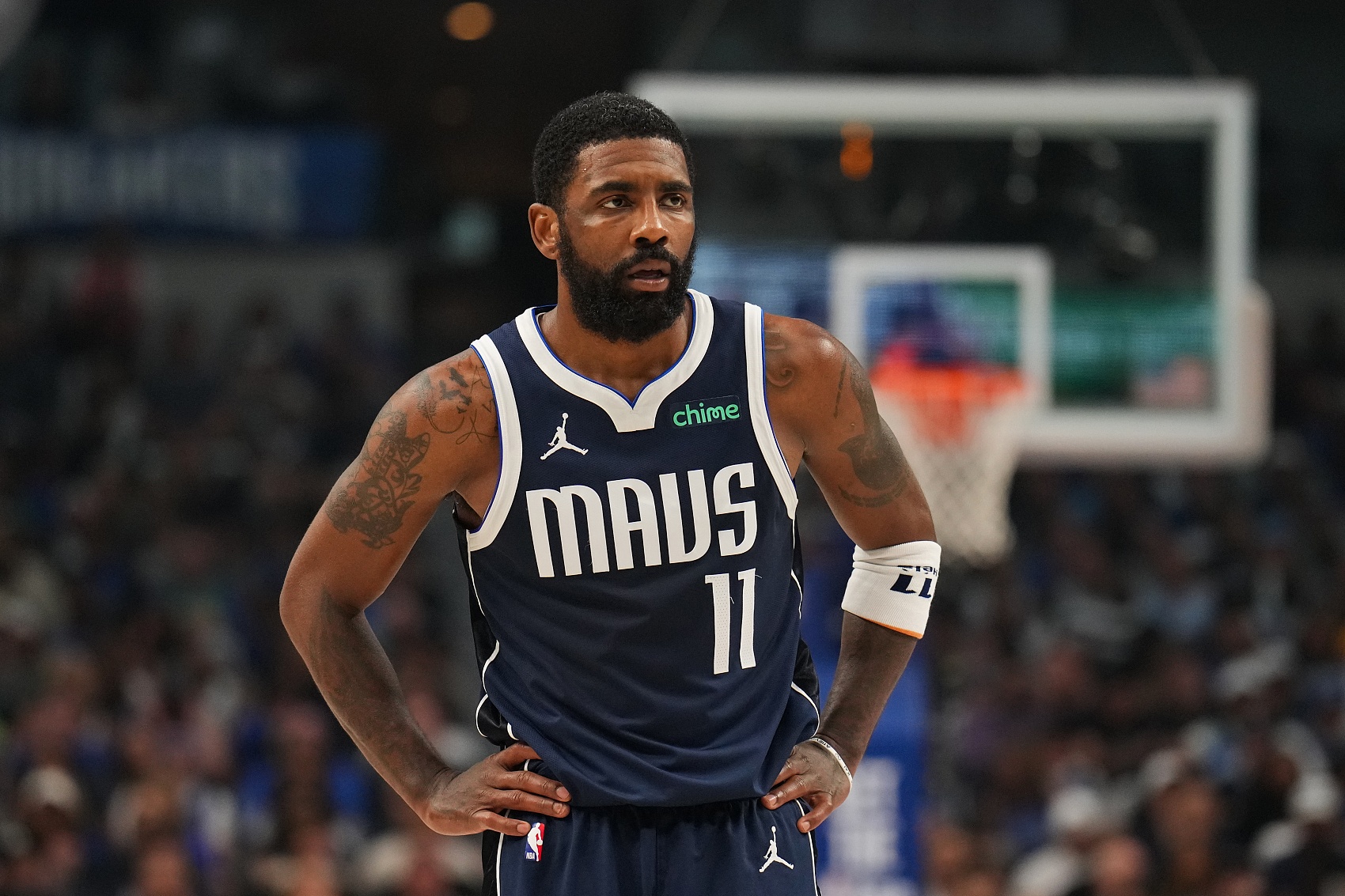 过专业视角 过专业视角